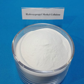 Hydroxypropyl Methyl Cellulose